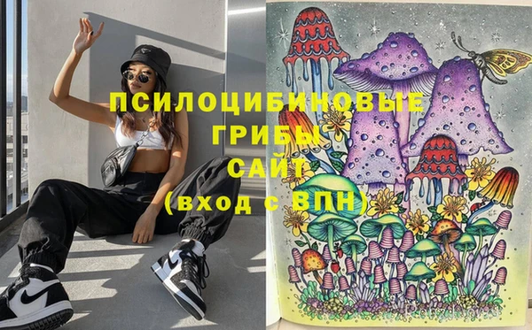 mdma Медвежьегорск