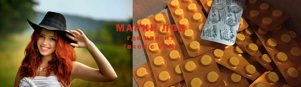 ГАЛЛЮЦИНОГЕННЫЕ ГРИБЫ Магас