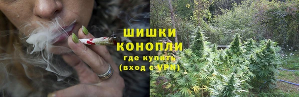 ГАЛЛЮЦИНОГЕННЫЕ ГРИБЫ Магас