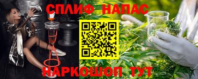 мяу мяу мука Гай