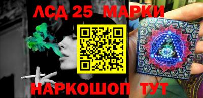 mdma Гатчина