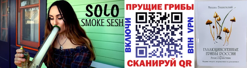 Галлюциногенные грибы Psilocybe  Северодвинск 