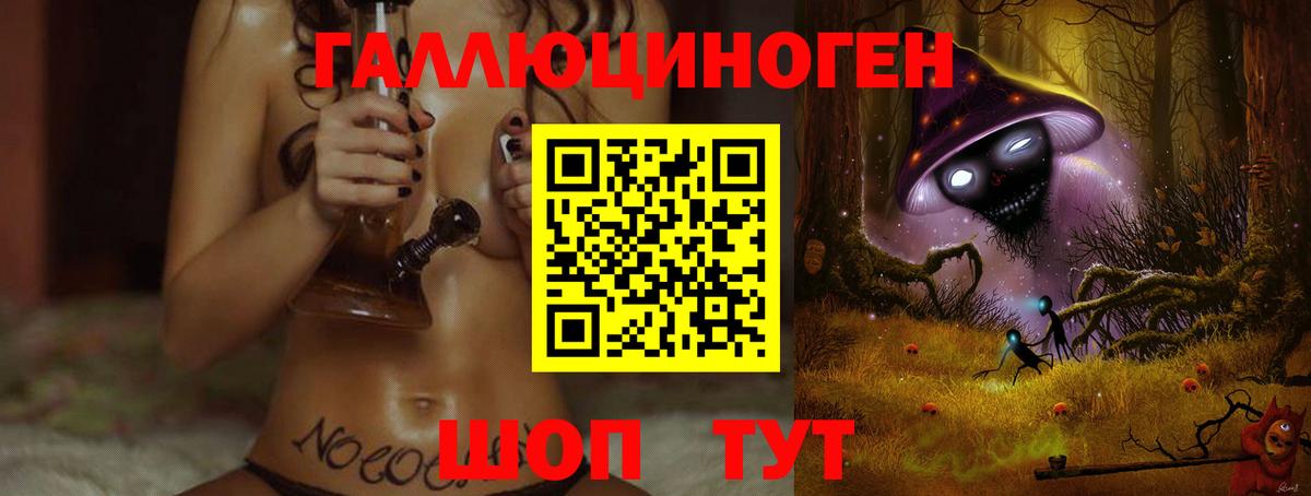 Псилоцибиновые грибы Psilocybine cubensis Северодвинск