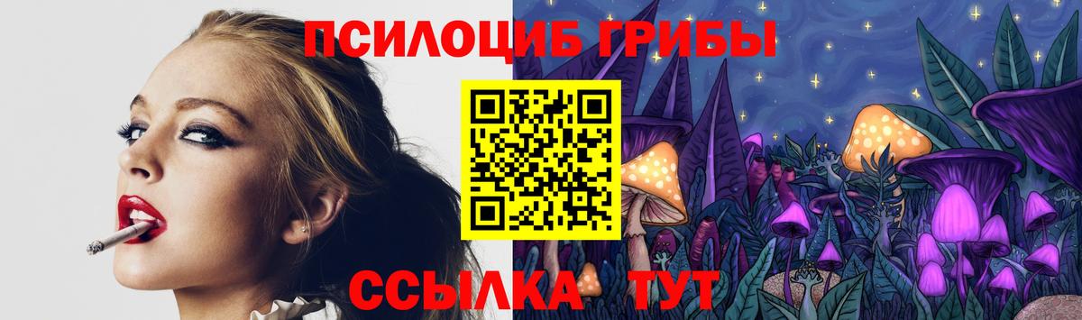 Псилоцибиновые грибы Psilocybe  Северодвинск 